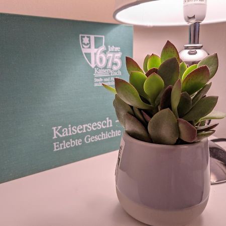 Ferienwohnung Am Waldweg Kaisersesch ภายนอก รูปภาพ