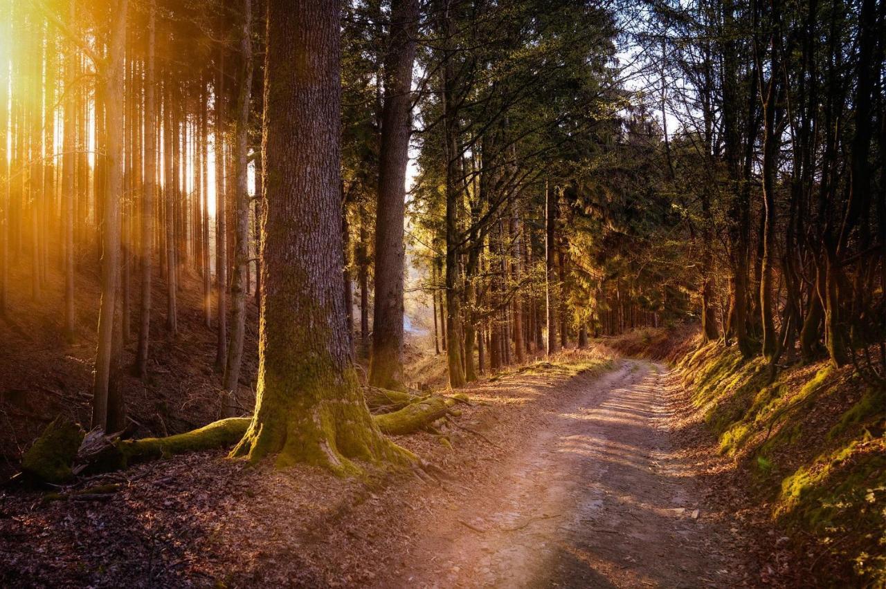 Ferienwohnung Am Waldweg Kaisersesch ภายนอก รูปภาพ