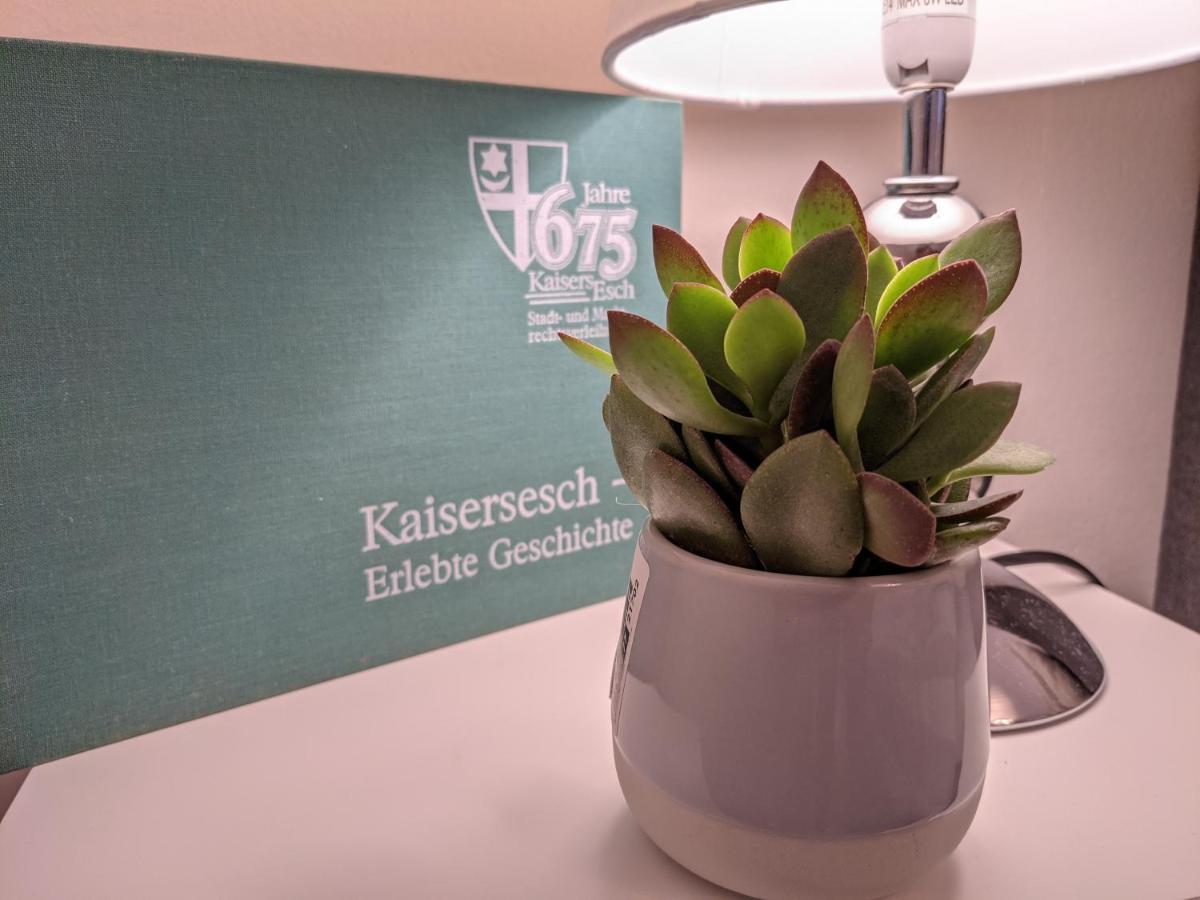 Ferienwohnung Am Waldweg Kaisersesch ภายนอก รูปภาพ